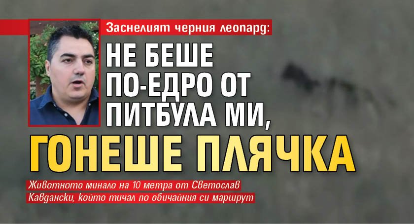 Заснелият черния леопард: Не беше по-едро от питбула ми, гонеше плячка