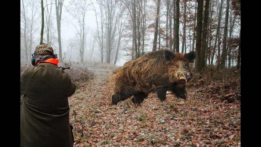 Гръмнаха ловец в село Средногрив