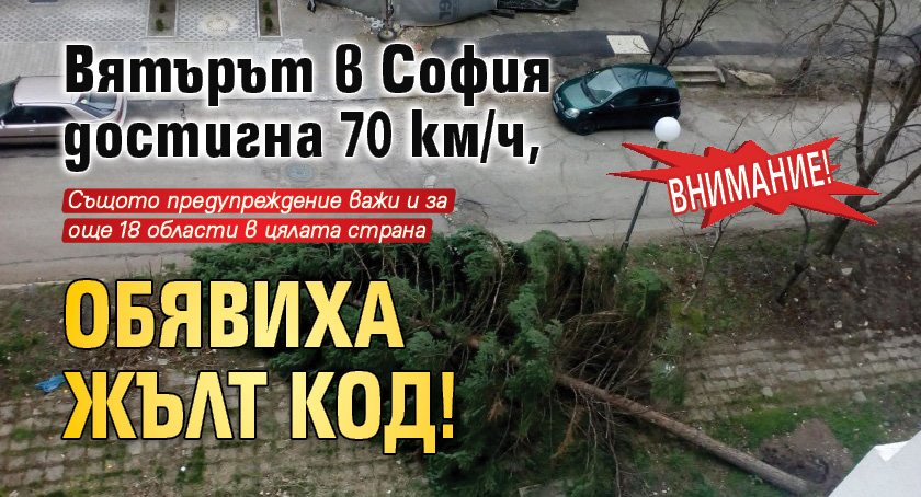 Внимание! Вятърът в София достигна 70 км/ч, обявиха жълт код!