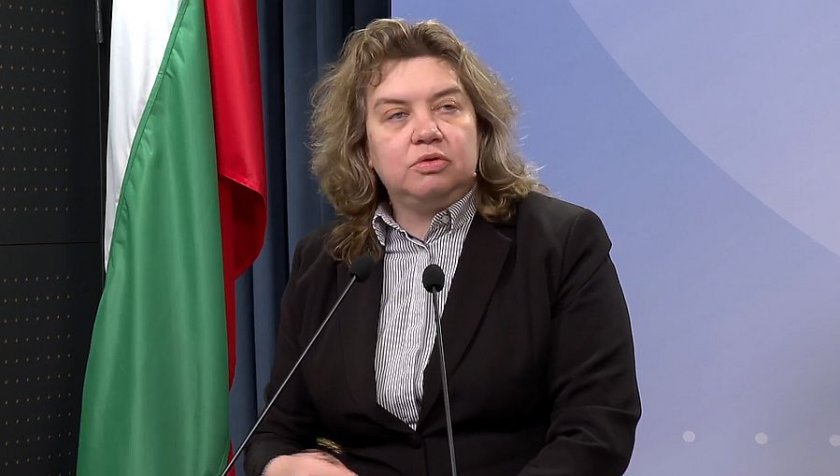Киселова: Мотивите на ПП-ДБ по вота показват слабо познаване на Конституцията