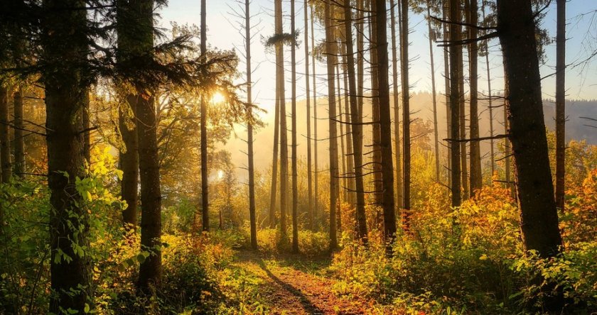 През нощта срещу вторник ще духа слаб източен вятър. Времето