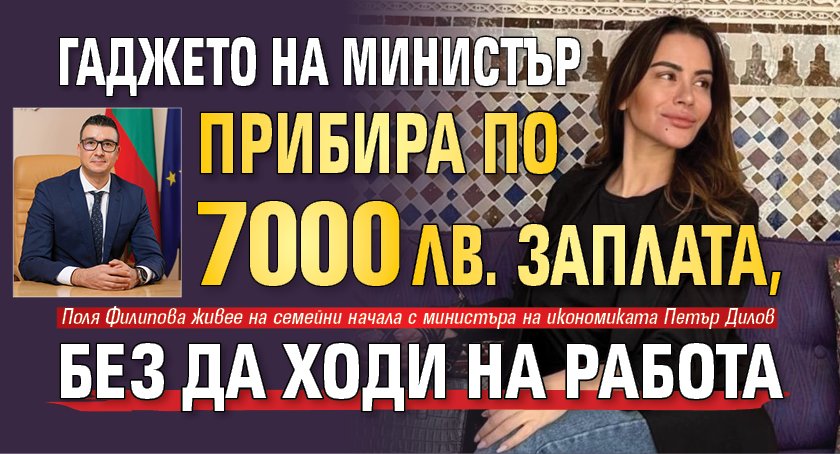 Гаджето на министър прибира по 7000 лв. заплата, без да ходи на работа 
