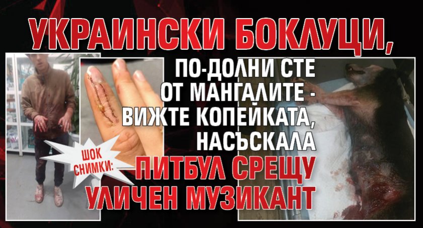 ШОК СНИМКИ: Украински боклуци, по-долни сте от мангалите - вижте копейката, насъскала питбул срещу уличен музикант