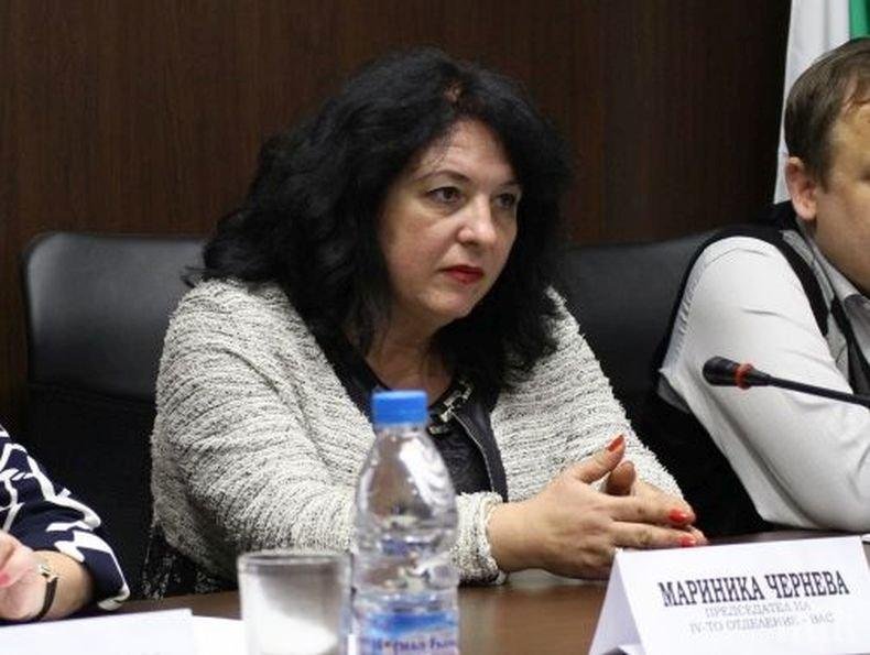 Мариника Чернева се съгласи да оглави ВАС 