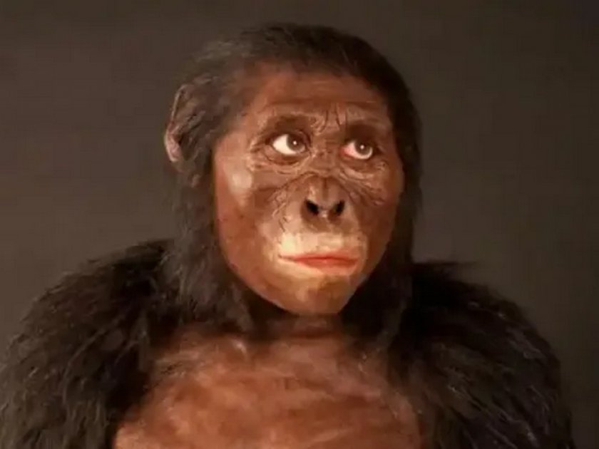 Маймуните са станали хора край Чирпан преди 7,24 млн. години.