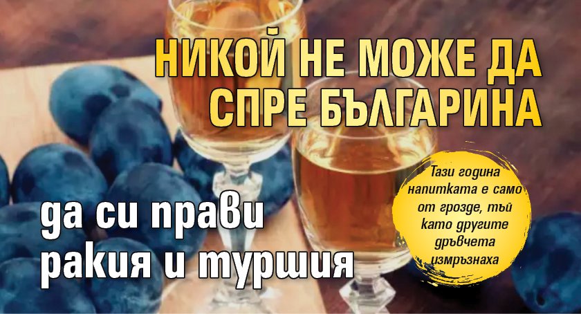 Никой не може да спре българина да си прави ракия и туршия