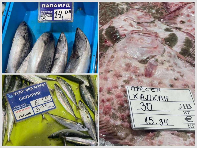 Има лефер и чернокоп, но къде е паламудът