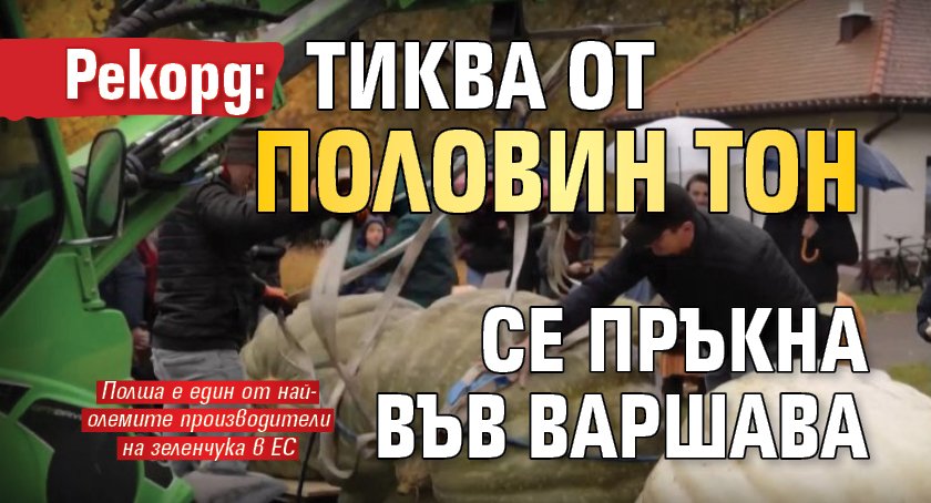 Рекорд: Тиква от половин тон се пръкна във Варшава 
