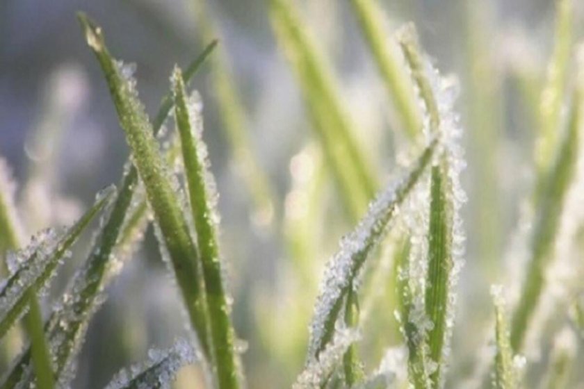 Синоптиците издадоха предупреждение за 29 октомври