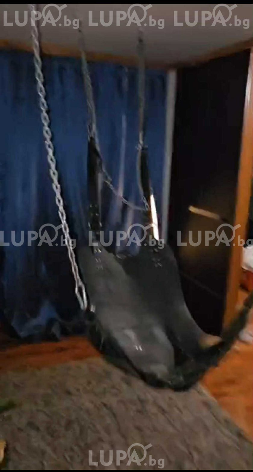 Бомба в Lupa.bg: Ето я кожената люлка за садо-мазо секс в тризонета на д-р Хасърджиев