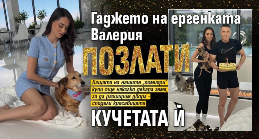 Гаджето на ергенката Валерия позлати кучетата й