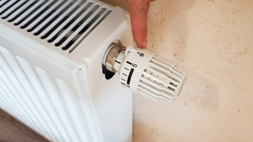 НАГЛОСТ: Топлинна счетоводителка не брои Съда на ЕС за жив