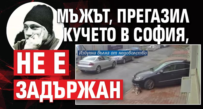 Мъжът, прегазил кучето в София, не е задържан