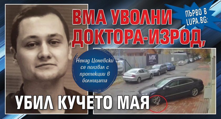 Първо в Lupa.bg: ВМА уволни доктора-изрод, убил кучето Мая