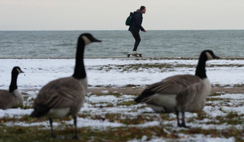 Рекордни студове в Алабама, Флорида и Джорджия