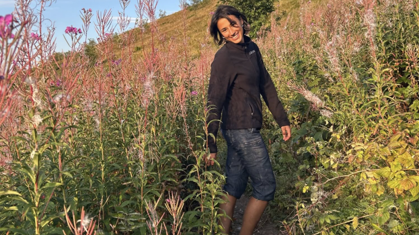 Стефани прекарала едната нощ на дърво!