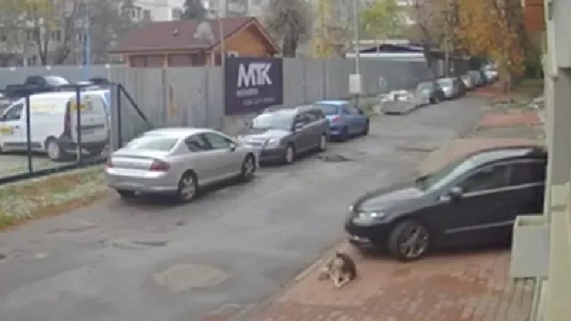 Извергът-хирург получава до 5 години затвор!