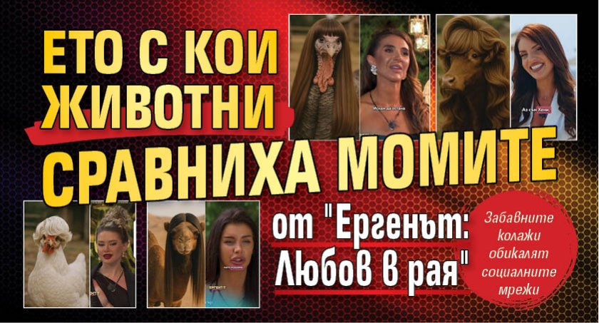 Ето с кои животни сравниха момите от "Ергенът: Любов в рая"