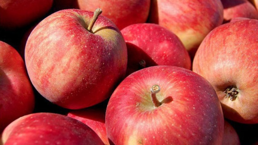 По една на ден - друг път: С 36% са поскъпнали българските ябълки