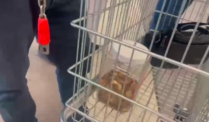 Какво се случва? Огромни опашки се извиха пред машините за обмяна на монети срещу ваучери