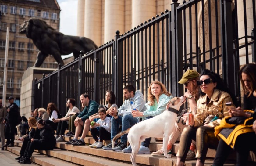 Протест срещу насилието над животни се проведе в няколко града