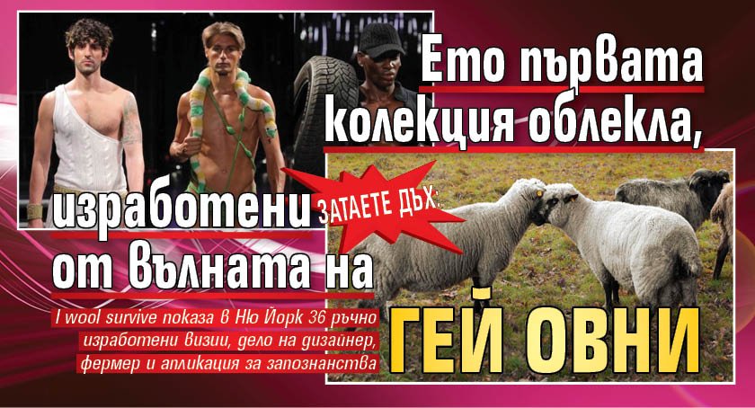 Затаете дъх: Ето първата колекция облекла, изработени от вълната на гей овни