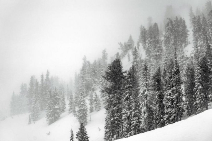 Петима чуждестранни туристи загинаха при снежна буря в Чили
