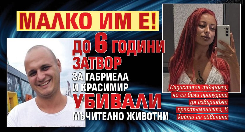 Малко им е! До 6 години затвор за Габриела и Красимир, убивали мъчително животни 
