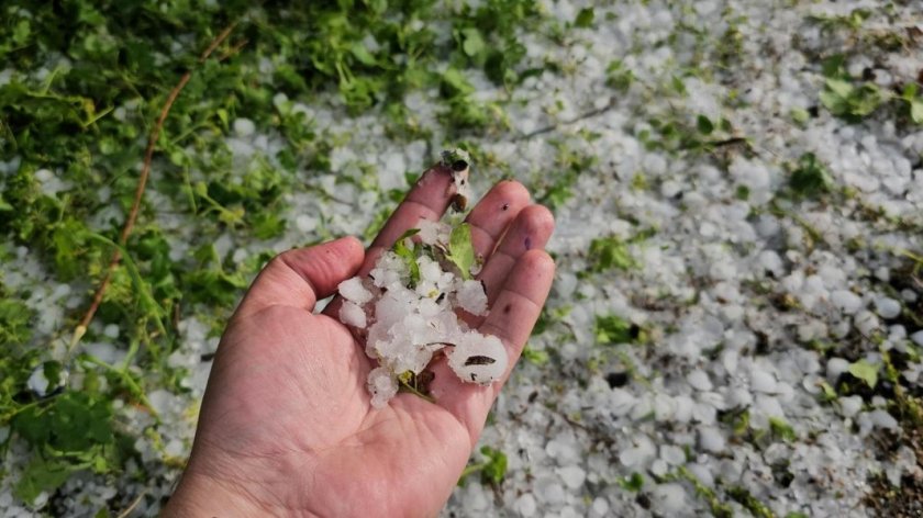 300 000 декара са засегнатите от дъждове, градушки и слани земеделски площи у нас