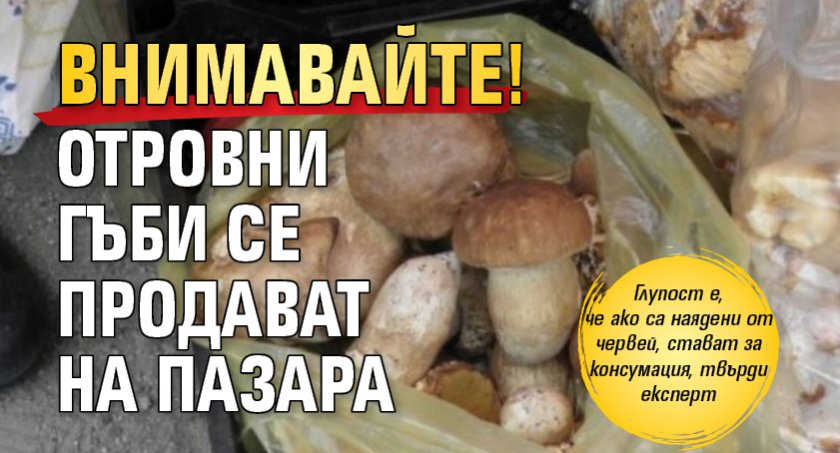 Внимавайте! Отровни гъби се продават на пазара