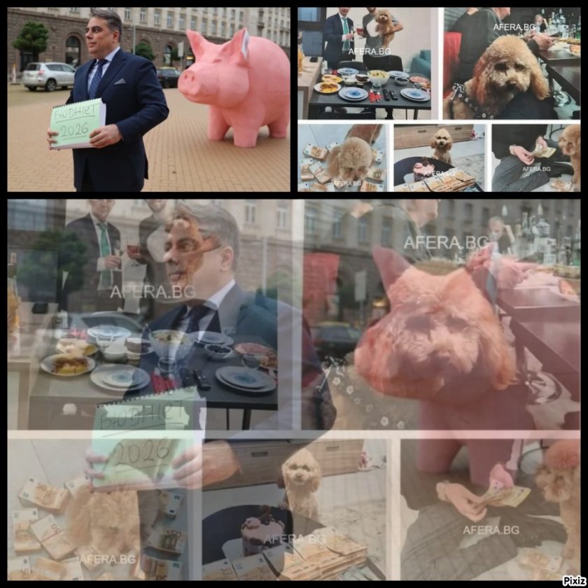 Седмицата: Прасе-касичка – новият „избор“ на електорат-касичката