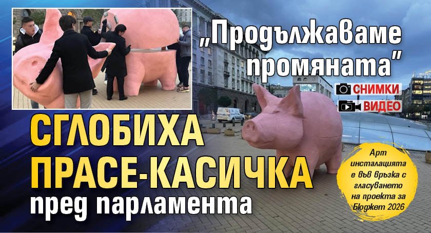 "Продължаваме промяната" сглобиха прасе-касичка пред парламента (СНИМКИ И ВИДЕО)