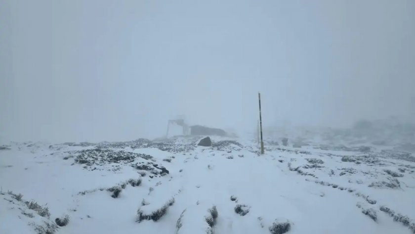 Сняг заваля на Витоша