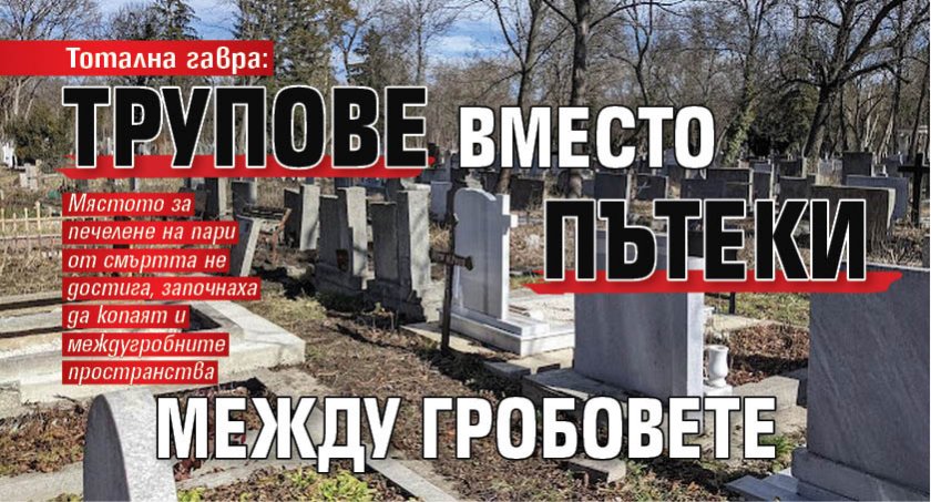 Тотална гавра: Трупове вместо пътеки между гробовете