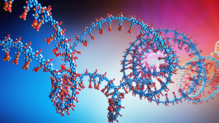 Учени тестват границите на иРНК с цел пробив в лечението на рак