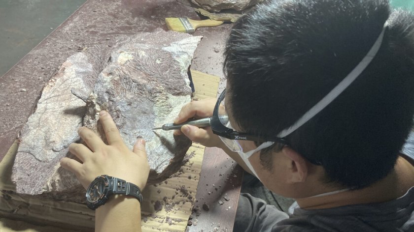 Учените откриха едни от най-старите следи от живот на Земята,