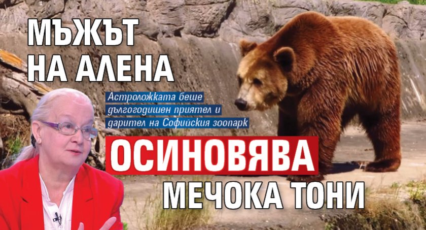 Мъжът на Алена осиновява мечока Тони