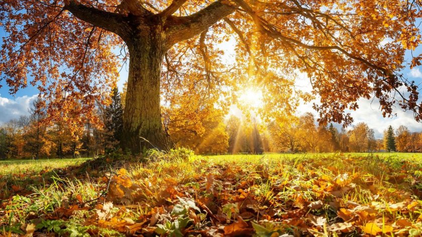 Термометрите удрят 22 градуса през уикенда