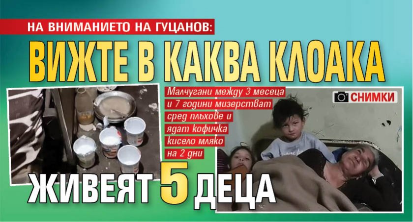 НА ВНИМАНИЕТО НА ГУЦАНОВ: Вижте в каква клоака живеят 5 деца (СНИМКИ)