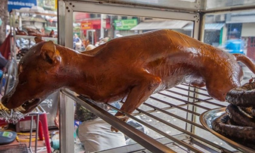 Джакарта забрани консумацията на кучешко и котешко месо