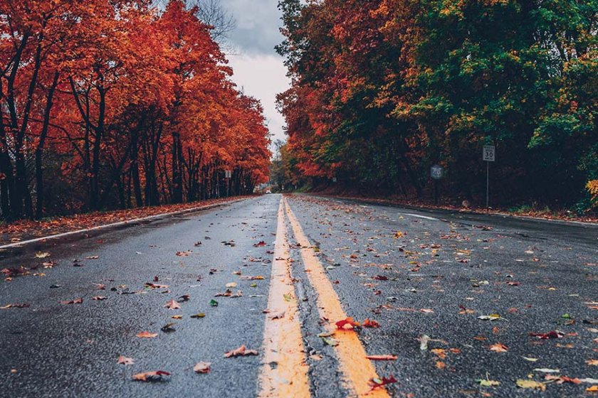 Студ навсякъде и сняг в планините ни чакат в неделния ден