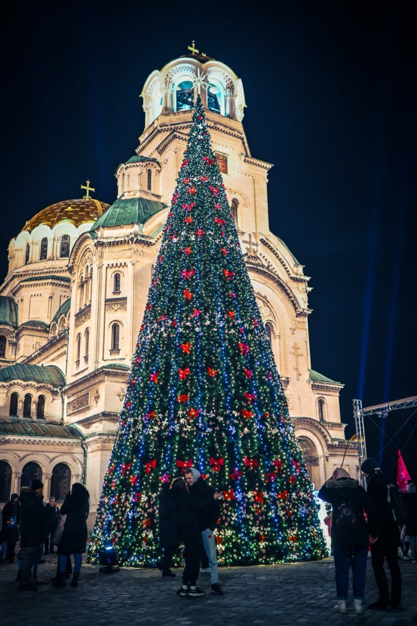 Красота: Вижте разкошната коледна елха в София (снимки)