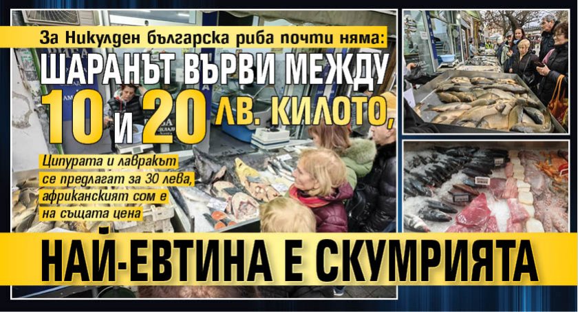 За Никулден българска риба почти няма: Шаранът върви между 10 и 20 лв. килото, най-евтина е скумрията