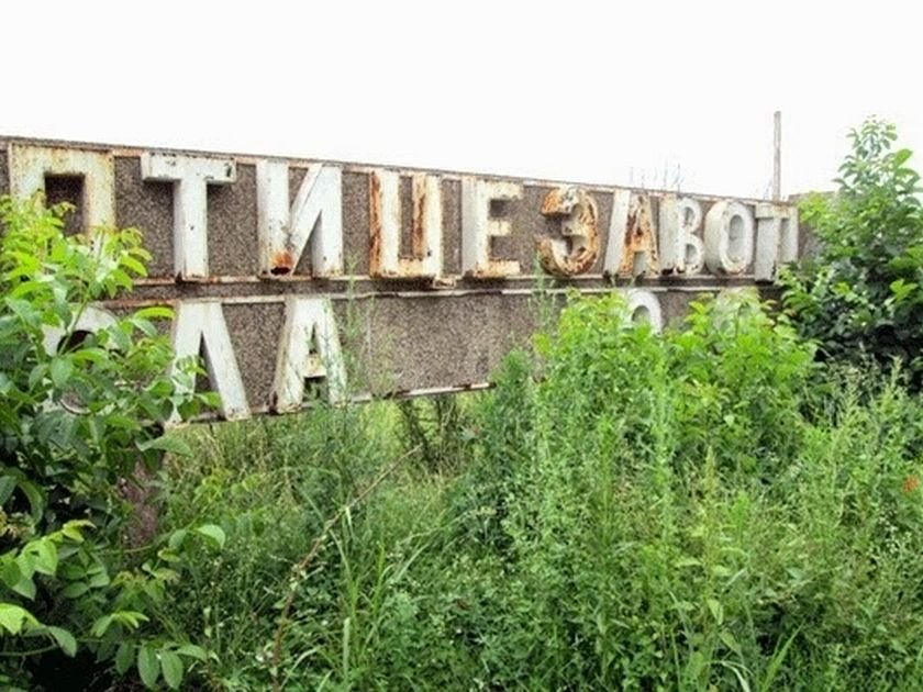 Разбиха и ограбиха бившия птицекомбинат в Монтана