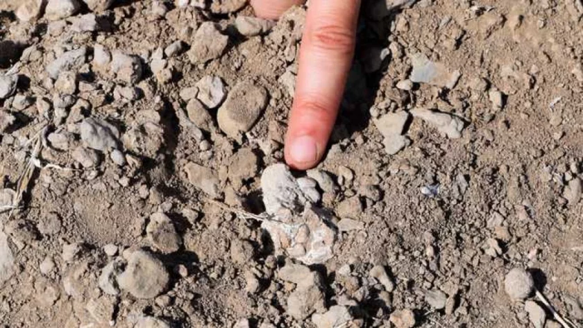 Фосил на стъпало поставя под въпрос човешката еволюция