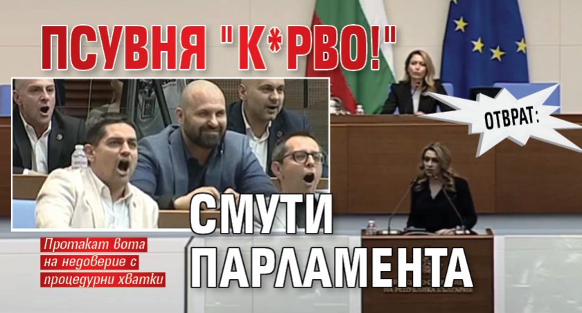 ОТВРАТ: Псувня "К*рво!" смути парламента 