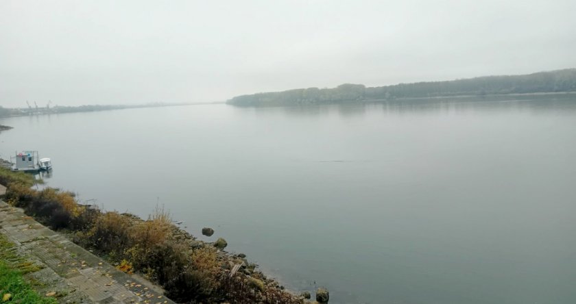 Въведоха безсрочна забрана за улов на есетрови риби в Дунав и Черно море