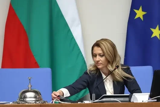 Народното събрание отхвърли искането на Петър Петров от Възраждане като