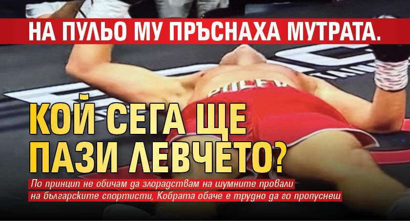 На Пульо му пръснаха мутрата. Кой сега ще пази левчето?