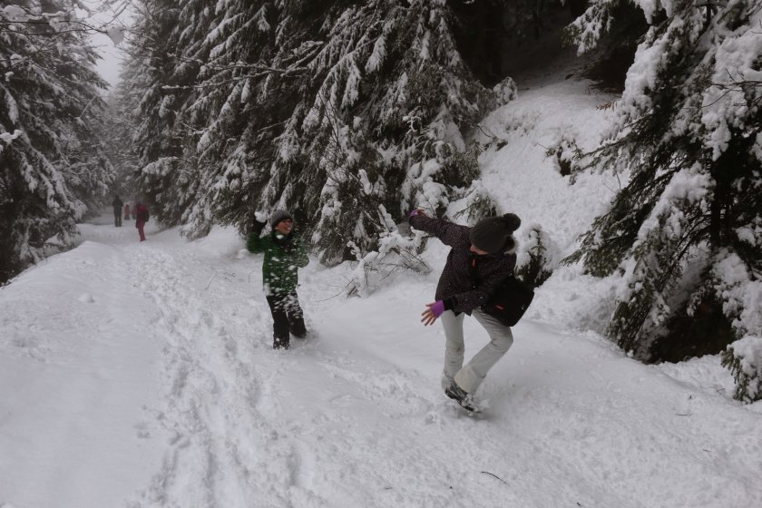 Планинските спасители: Внимание, пътеките са много заледени